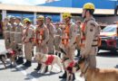 Goiás envia cães farejadores para ajudar nas buscas por desaparecidos durante temporal no Rio Grande do Sul
