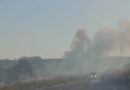 Bombeiros combatem queimadas na GO-040 sentido Aragoiânia; vídeo